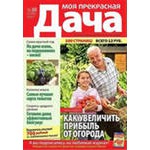 Средства на ремонт дачи