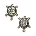 Серьги-гвоздики Shirley в виде черепахи | Зеленый | Accessorize