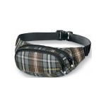 Dakine Hip Pack