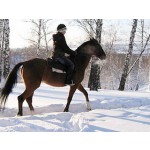 Поехать кататься на лошадях