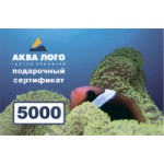 подарочный сертификат* в супермаркете"Аква Лого"